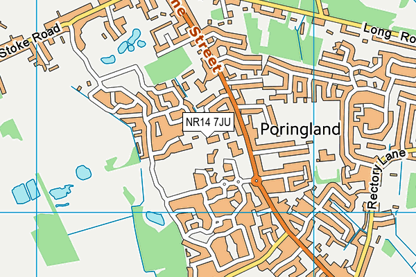 NR14 7JU map - OS VectorMap District (Ordnance Survey)