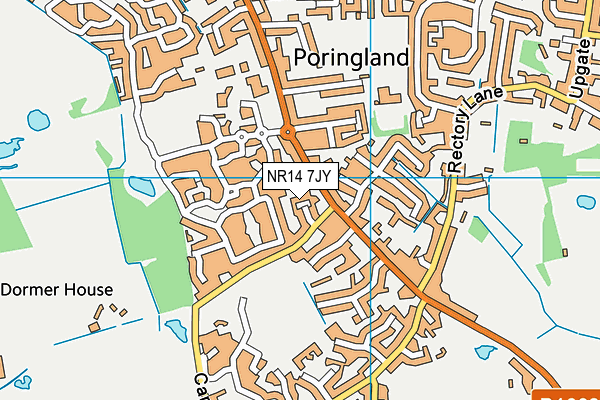 NR14 7JY map - OS VectorMap District (Ordnance Survey)