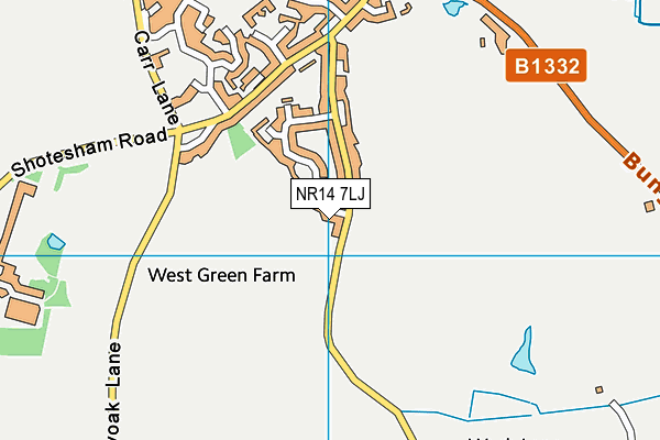 NR14 7LJ map - OS VectorMap District (Ordnance Survey)