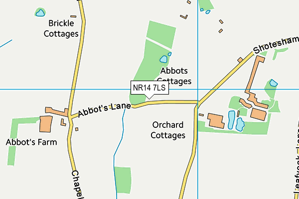 NR14 7LS map - OS VectorMap District (Ordnance Survey) NR14 7LS map - OS VectorMap District (Ordnance Survey)