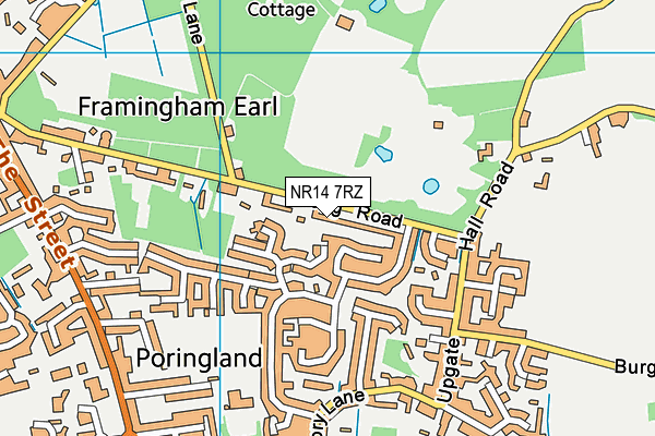 NR14 7RZ map - OS VectorMap District (Ordnance Survey) NR14 7RZ map - OS VectorMap District (Ordnance Survey)