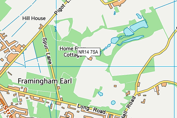 NR14 7SA map - OS VectorMap District (Ordnance Survey)