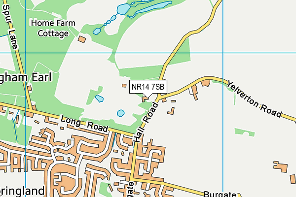 NR14 7SB map - OS VectorMap District (Ordnance Survey) NR14 7SB map - OS VectorMap District (Ordnance Survey)