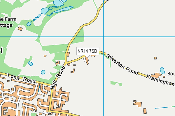 NR14 7SD map - OS VectorMap District (Ordnance Survey) NR14 7SD map - OS VectorMap District (Ordnance Survey)