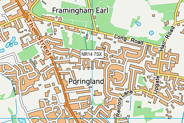 NR14 7SX map - OS VectorMap District (Ordnance Survey)