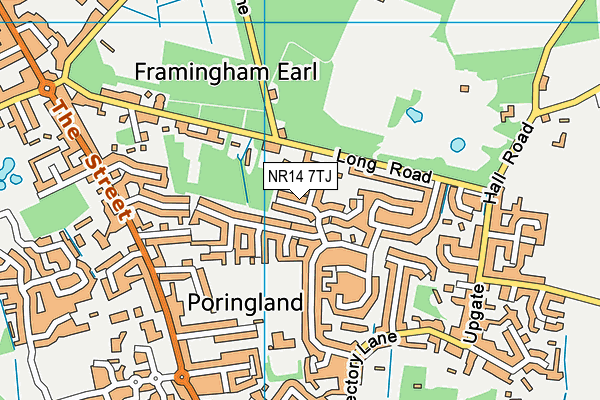 NR14 7TJ map - OS VectorMap District (Ordnance Survey) NR14 7TJ map - OS VectorMap District (Ordnance Survey)