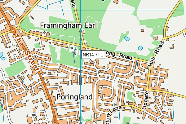 NR14 7TL map - OS VectorMap District (Ordnance Survey) NR14 7TL map - OS VectorMap District (Ordnance Survey)