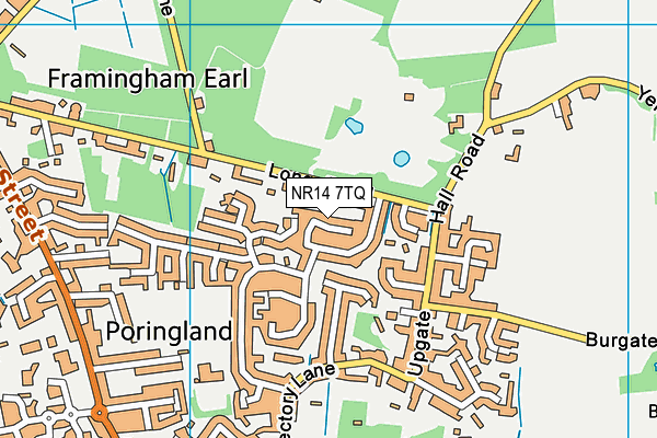 NR14 7TQ map - OS VectorMap District (Ordnance Survey) NR14 7TQ map - OS VectorMap District (Ordnance Survey)