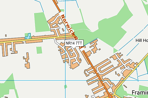 NR14 7TT map - OS VectorMap District (Ordnance Survey) NR14 7TT map - OS VectorMap District (Ordnance Survey)