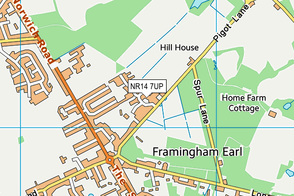 NR14 7UP map - OS VectorMap District (Ordnance Survey) NR14 7UP map - OS VectorMap District (Ordnance Survey)
