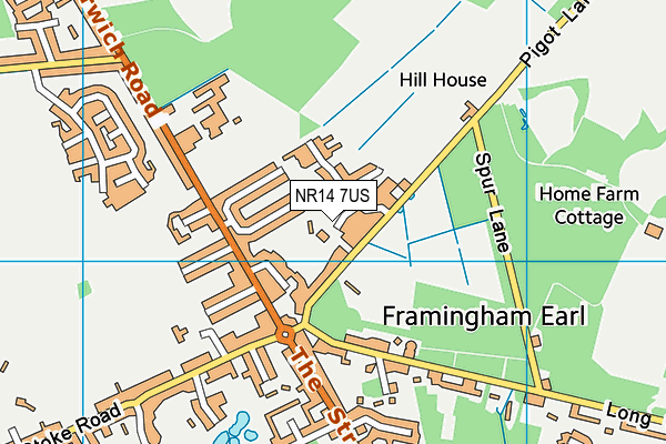 NR14 7US map - OS VectorMap District (Ordnance Survey) NR14 7US map - OS VectorMap District (Ordnance Survey)
