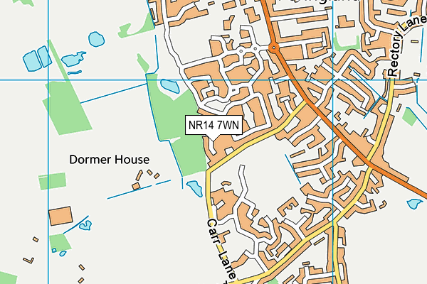 NR14 7WN map - OS VectorMap District (Ordnance Survey)