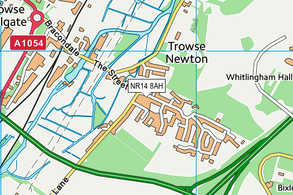 NR14 8AH map - OS VectorMap District (Ordnance Survey)