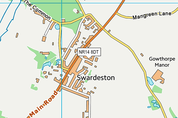 NR14 8DT map - OS VectorMap District (Ordnance Survey) NR14 8DT map - OS VectorMap District (Ordnance Survey)