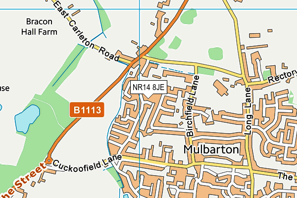 NR14 8JE map - OS VectorMap District (Ordnance Survey)
