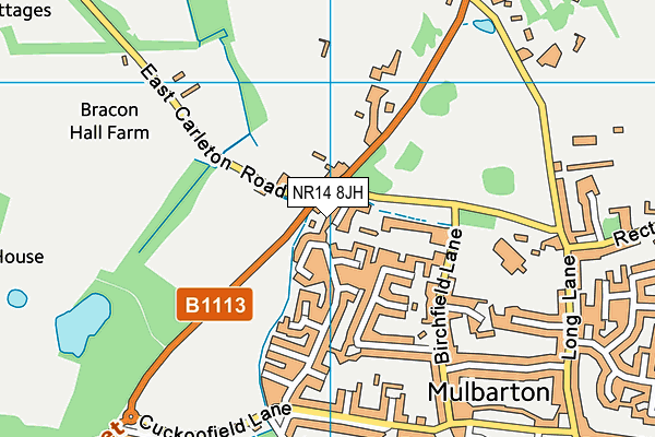 NR14 8JH map - OS VectorMap District (Ordnance Survey)