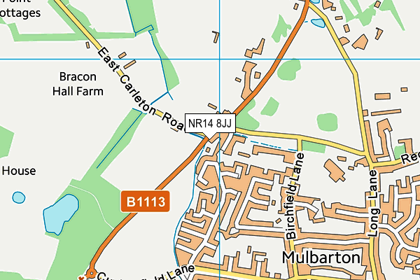 NR14 8JJ map - OS VectorMap District (Ordnance Survey)