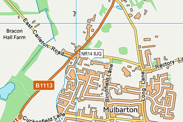 NR14 8JQ map - OS VectorMap District (Ordnance Survey)