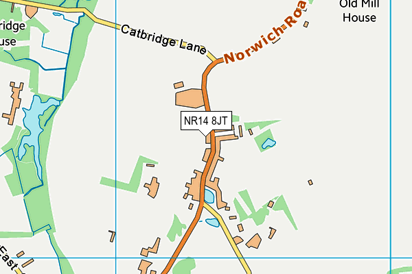 NR14 8JT map - OS VectorMap District (Ordnance Survey) NR14 8JT map - OS VectorMap District (Ordnance Survey)