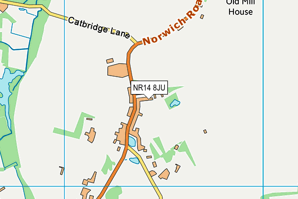 NR14 8JU map - OS VectorMap District (Ordnance Survey) NR14 8JU map - OS VectorMap District (Ordnance Survey)