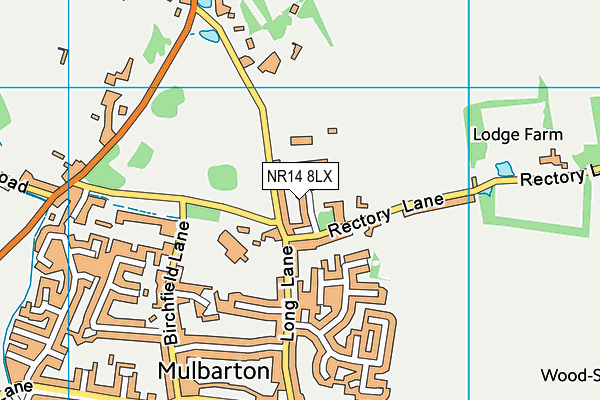 NR14 8LX map - OS VectorMap District (Ordnance Survey)