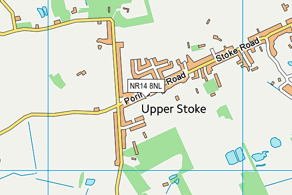 NR14 8NL map - OS VectorMap District (Ordnance Survey) NR14 8NL map - OS VectorMap District (Ordnance Survey)