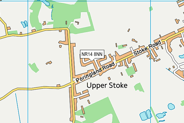 NR14 8NN map - OS VectorMap District (Ordnance Survey) NR14 8NN map - OS VectorMap District (Ordnance Survey)