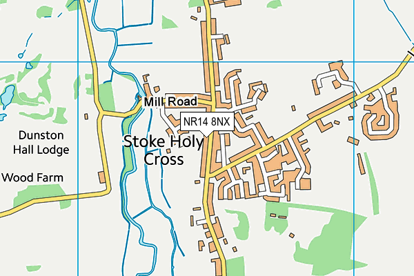 NR14 8NX map - OS VectorMap District (Ordnance Survey)