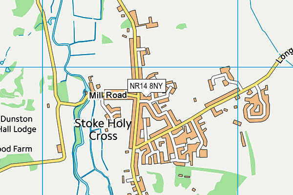 NR14 8NY map - OS VectorMap District (Ordnance Survey)