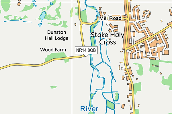 NR14 8QB map - OS VectorMap District (Ordnance Survey)