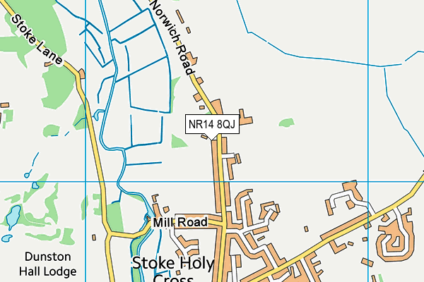 NR14 8QJ map - OS VectorMap District (Ordnance Survey)
