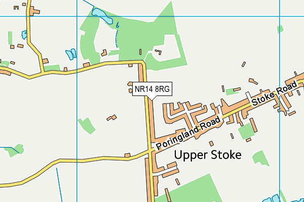 NR14 8RG map - OS VectorMap District (Ordnance Survey)