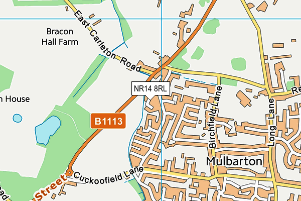 NR14 8RL map - OS VectorMap District (Ordnance Survey)