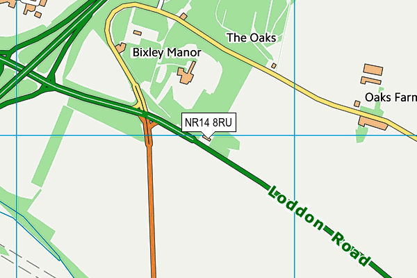 NR14 8RU map - OS VectorMap District (Ordnance Survey)