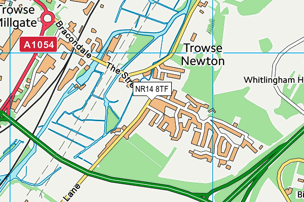 NR14 8TF map - OS VectorMap District (Ordnance Survey)