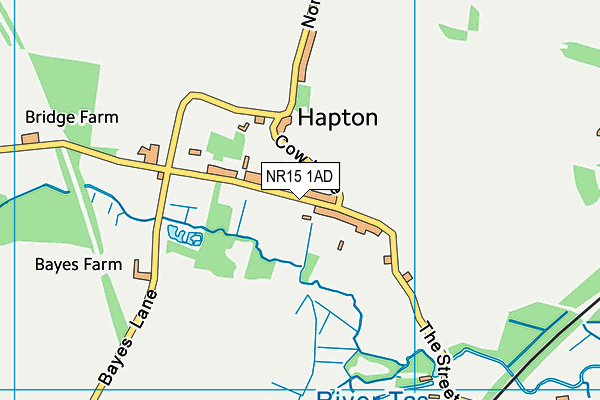 NR15 1AD map - OS VectorMap District (Ordnance Survey) NR15 1AD map - OS VectorMap District (Ordnance Survey)