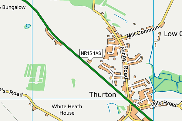 NR15 1AS map - OS VectorMap District (Ordnance Survey)