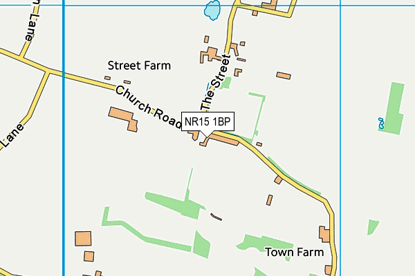 NR15 1BP map - OS VectorMap District (Ordnance Survey)