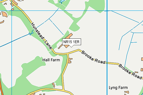 NR15 1ER map - OS VectorMap District (Ordnance Survey) NR15 1ER map - OS VectorMap District (Ordnance Survey)