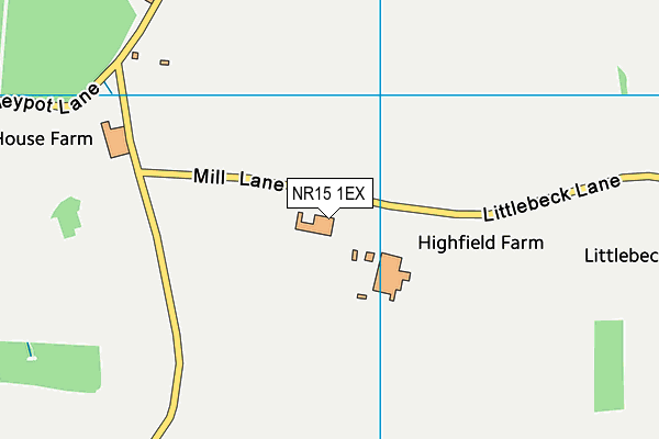 NR15 1EX map - OS VectorMap District (Ordnance Survey) NR15 1EX map - OS VectorMap District (Ordnance Survey)