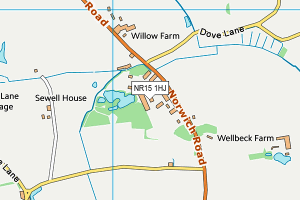 NR15 1HJ map - OS VectorMap District (Ordnance Survey) NR15 1HJ map - OS VectorMap District (Ordnance Survey)