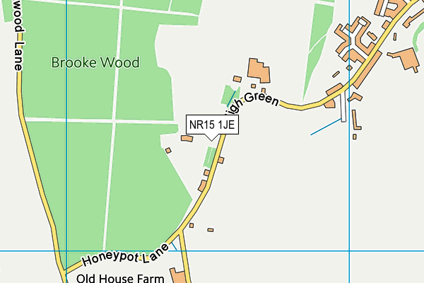 NR15 1JE map - OS VectorMap District (Ordnance Survey)