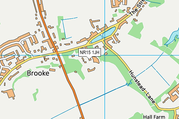 NR15 1JH map - OS VectorMap District (Ordnance Survey) NR15 1JH map - OS VectorMap District (Ordnance Survey)