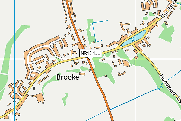 NR15 1JL map - OS VectorMap District (Ordnance Survey)
