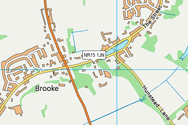 NR15 1JN map - OS VectorMap District (Ordnance Survey)