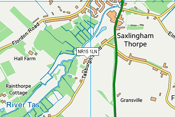 NR15 1LN map - OS VectorMap District (Ordnance Survey) NR15 1LN map - OS VectorMap District (Ordnance Survey)