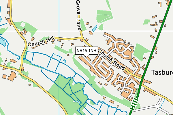 NR15 1NH map - OS VectorMap District (Ordnance Survey)
