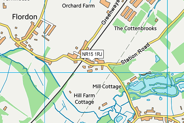 NR15 1RJ map - OS VectorMap District (Ordnance Survey)