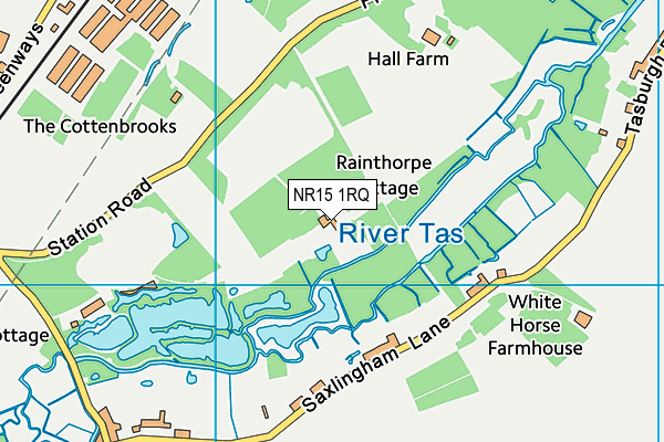 NR15 1RQ map - OS VectorMap District (Ordnance Survey) NR15 1RQ map - OS VectorMap District (Ordnance Survey)
