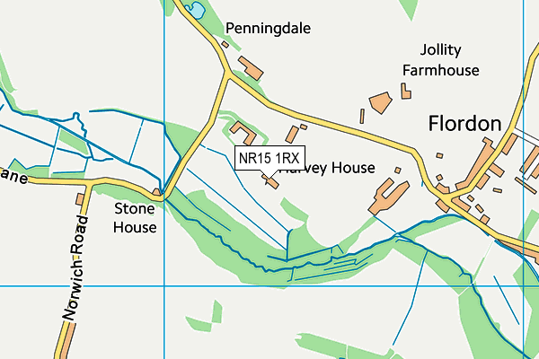 NR15 1RX map - OS VectorMap District (Ordnance Survey) NR15 1RX map - OS VectorMap District (Ordnance Survey)